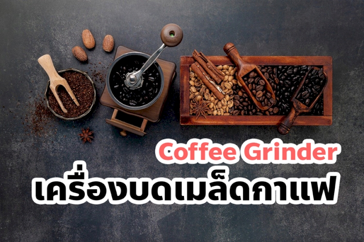 เครื่องบดเมล็ดกาแฟของดีจนต้องบอกต่อ  ยี่ห้อไหนดี