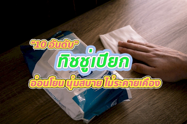 10 อันดับ แผ่นทำความสะอาด ยี่ห้อไหนดี