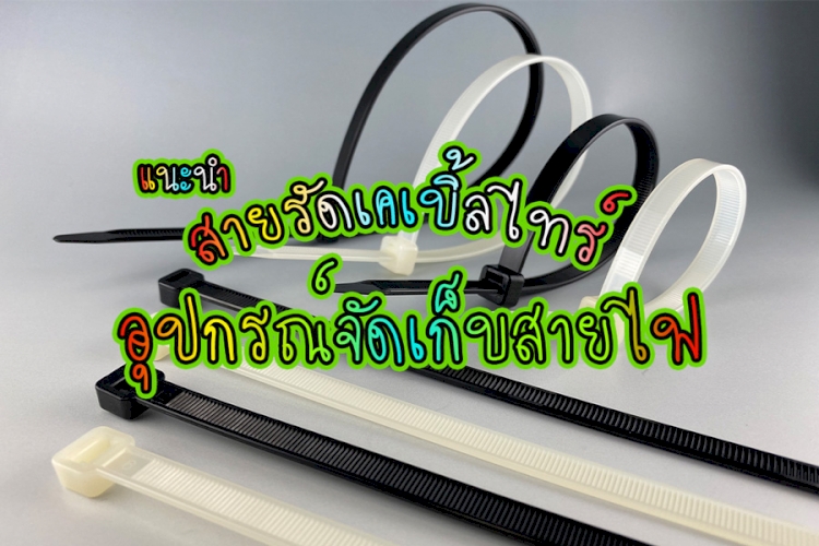 10 อันดับ สายเคเบิ้ลไทร์, หนวดกุ้ง, อุปกรณ์จัดเก็บสายไฟ,น่าใช้ ควรมีไว้ติดบ้าน