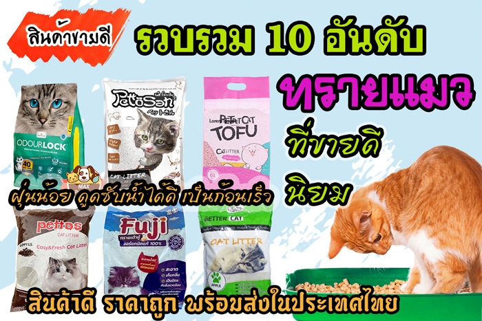 10 อันดับ ทรายแมว