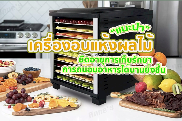 เครื่องอบแห้งผลไม้ 10 อันดับ  ยี่ห้อไหนดี